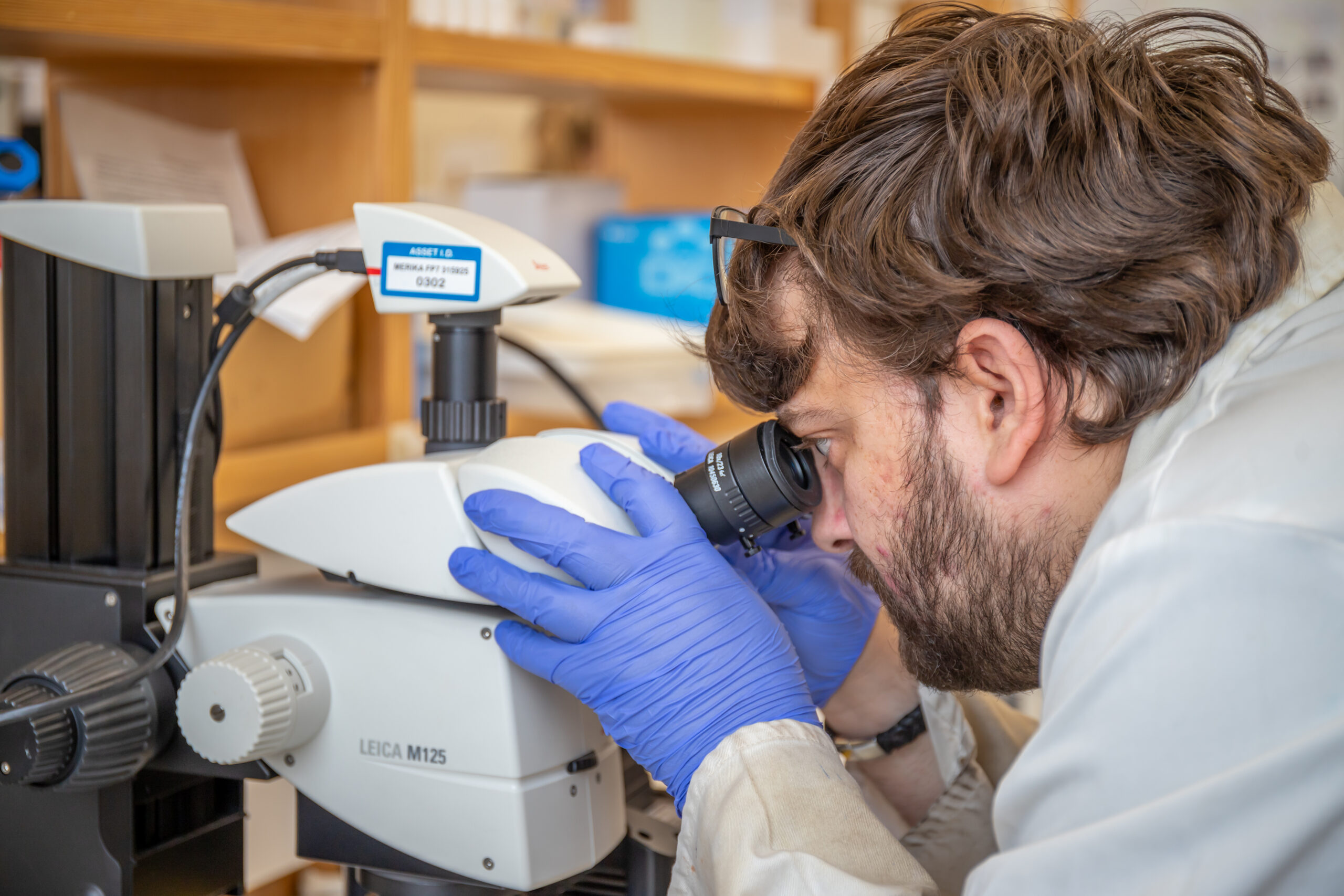 Young Man looking into Microscope
