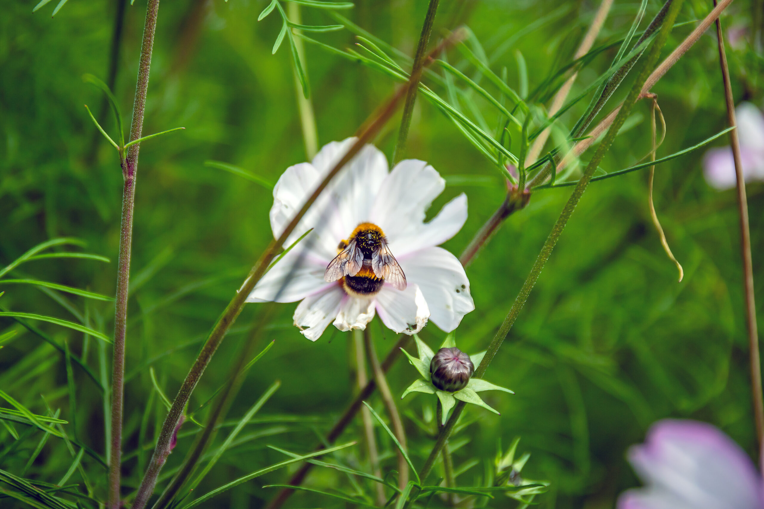 Work Life Highland - Work.Life.Highland